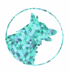 Miniature Fox Terrier dog profile picture